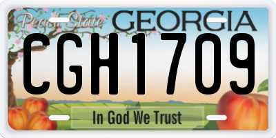 GA license plate CGH1709