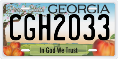 GA license plate CGH2033