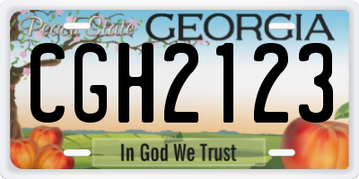 GA license plate CGH2123