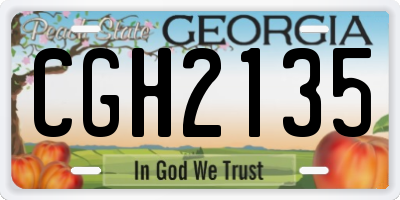 GA license plate CGH2135