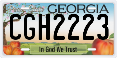 GA license plate CGH2223
