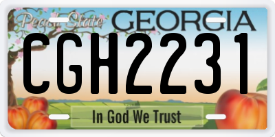 GA license plate CGH2231