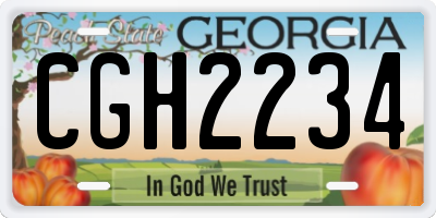 GA license plate CGH2234