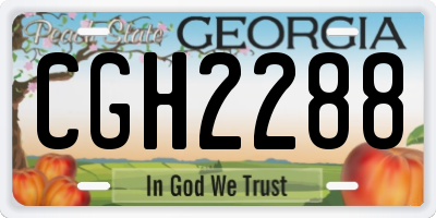 GA license plate CGH2288