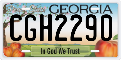 GA license plate CGH2290