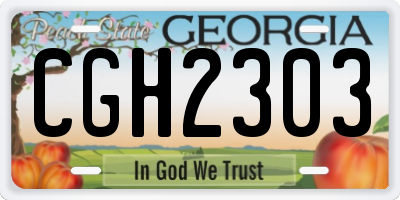 GA license plate CGH2303