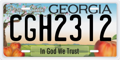 GA license plate CGH2312