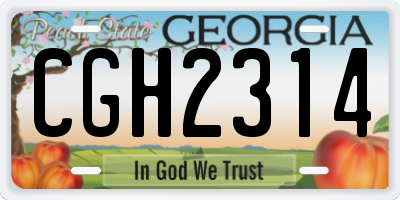 GA license plate CGH2314