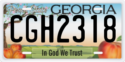 GA license plate CGH2318