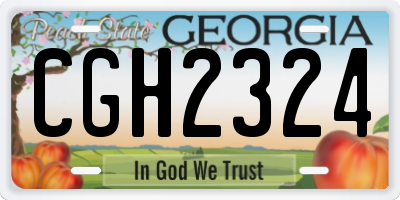GA license plate CGH2324