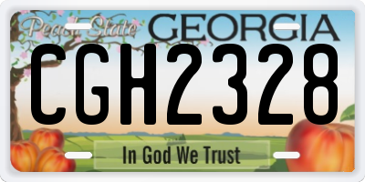 GA license plate CGH2328