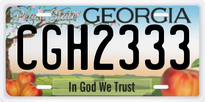 GA license plate CGH2333