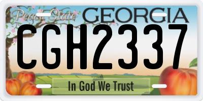 GA license plate CGH2337