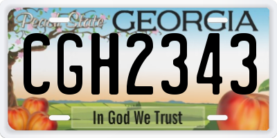 GA license plate CGH2343
