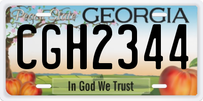 GA license plate CGH2344