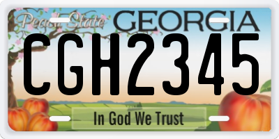 GA license plate CGH2345