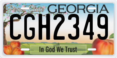 GA license plate CGH2349
