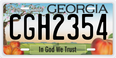 GA license plate CGH2354