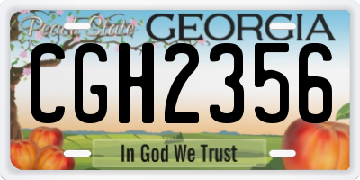 GA license plate CGH2356