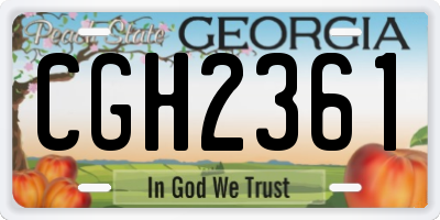 GA license plate CGH2361