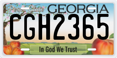 GA license plate CGH2365