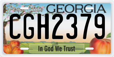 GA license plate CGH2379