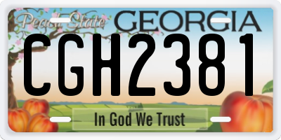 GA license plate CGH2381