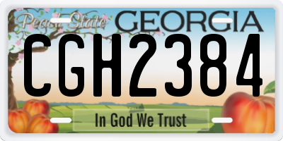 GA license plate CGH2384