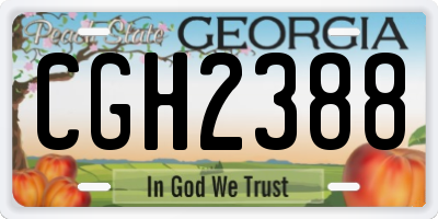 GA license plate CGH2388