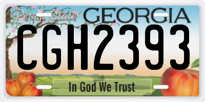 GA license plate CGH2393