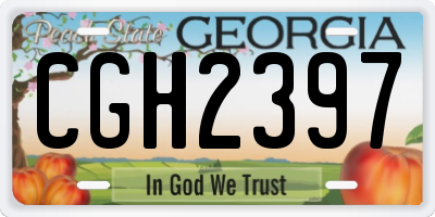 GA license plate CGH2397