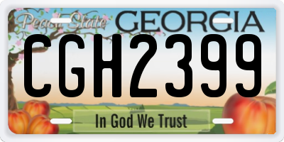 GA license plate CGH2399