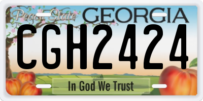 GA license plate CGH2424