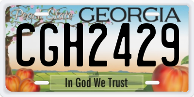 GA license plate CGH2429