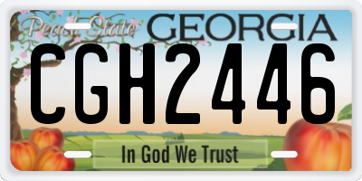 GA license plate CGH2446
