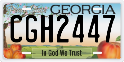 GA license plate CGH2447