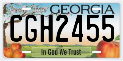 GA license plate CGH2455