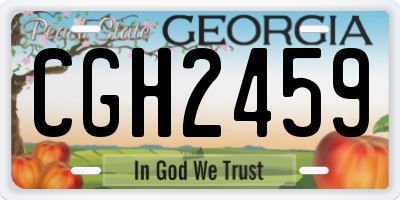 GA license plate CGH2459