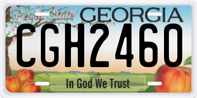 GA license plate CGH2460