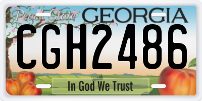 GA license plate CGH2486