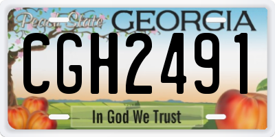 GA license plate CGH2491