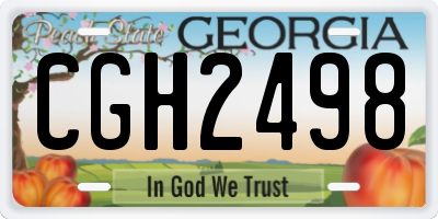 GA license plate CGH2498
