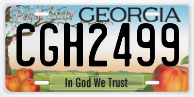 GA license plate CGH2499