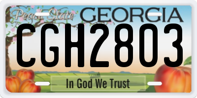 GA license plate CGH2803