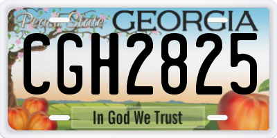 GA license plate CGH2825