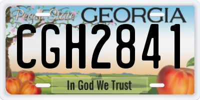 GA license plate CGH2841