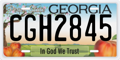 GA license plate CGH2845