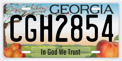 GA license plate CGH2854