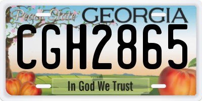 GA license plate CGH2865