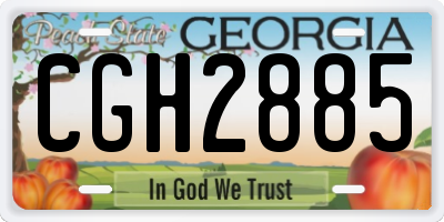 GA license plate CGH2885